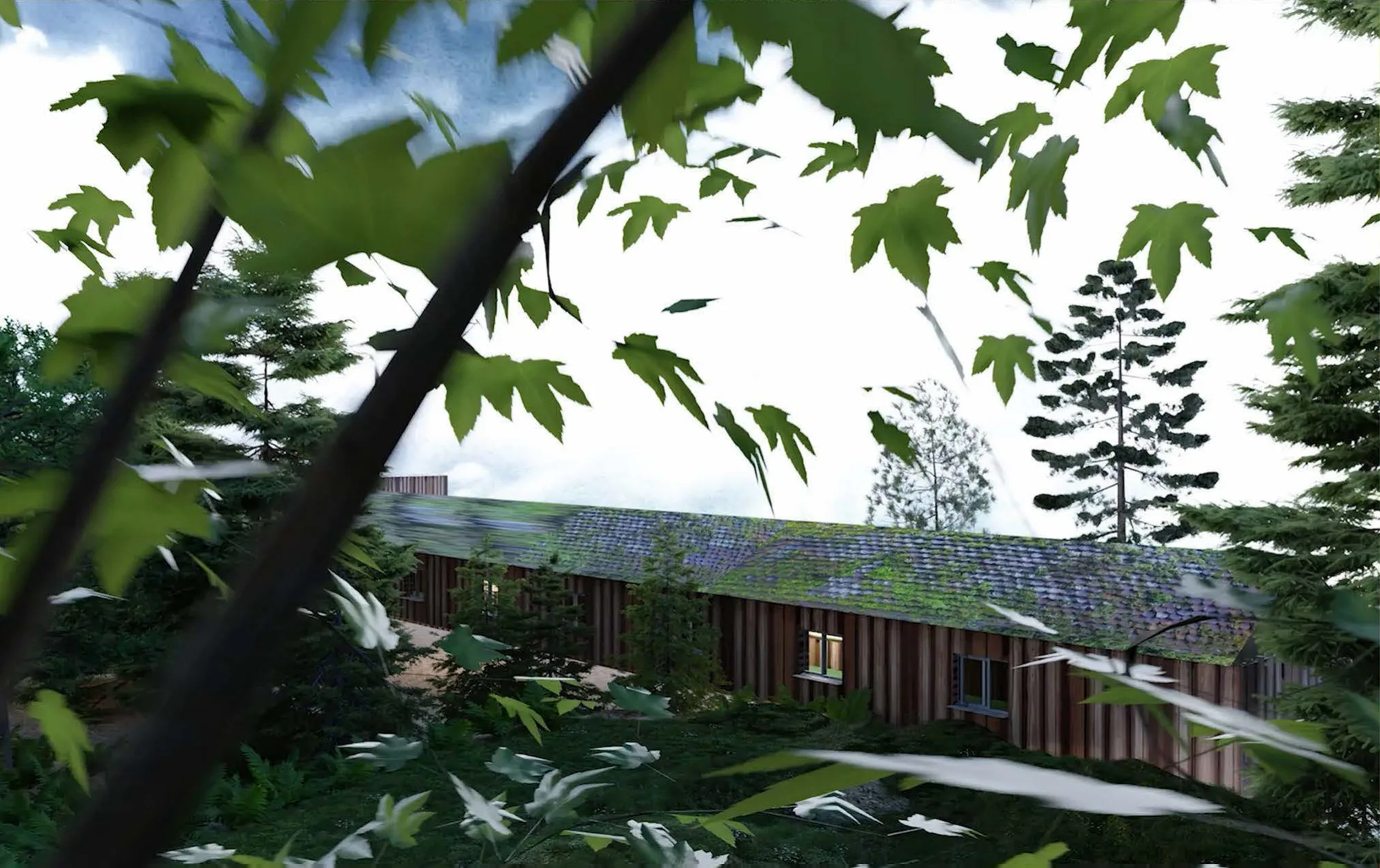 Maple leaves blowing past a long moss-roofed building in the forest.
